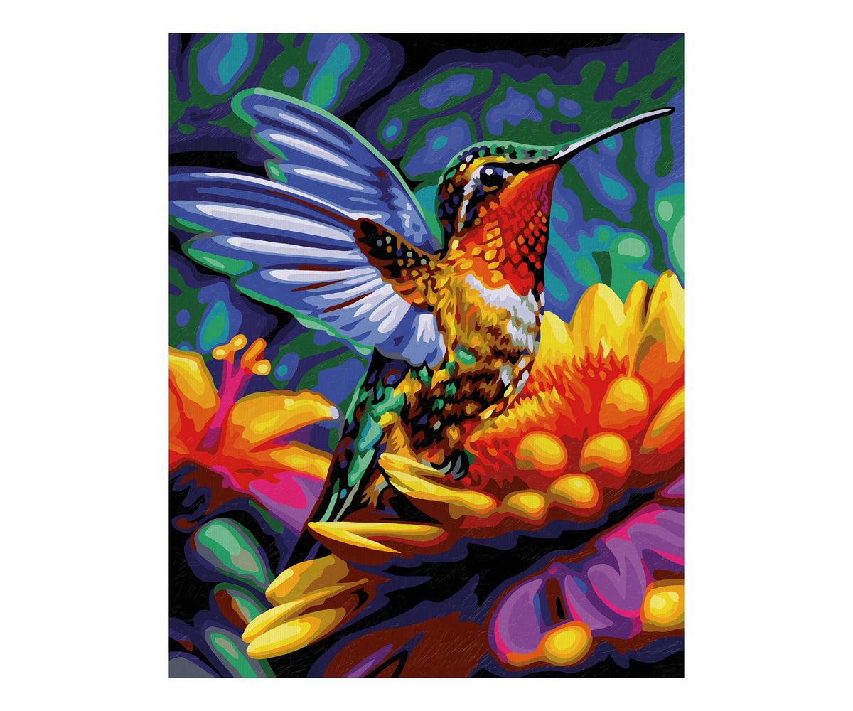 Schipper: Kolibri