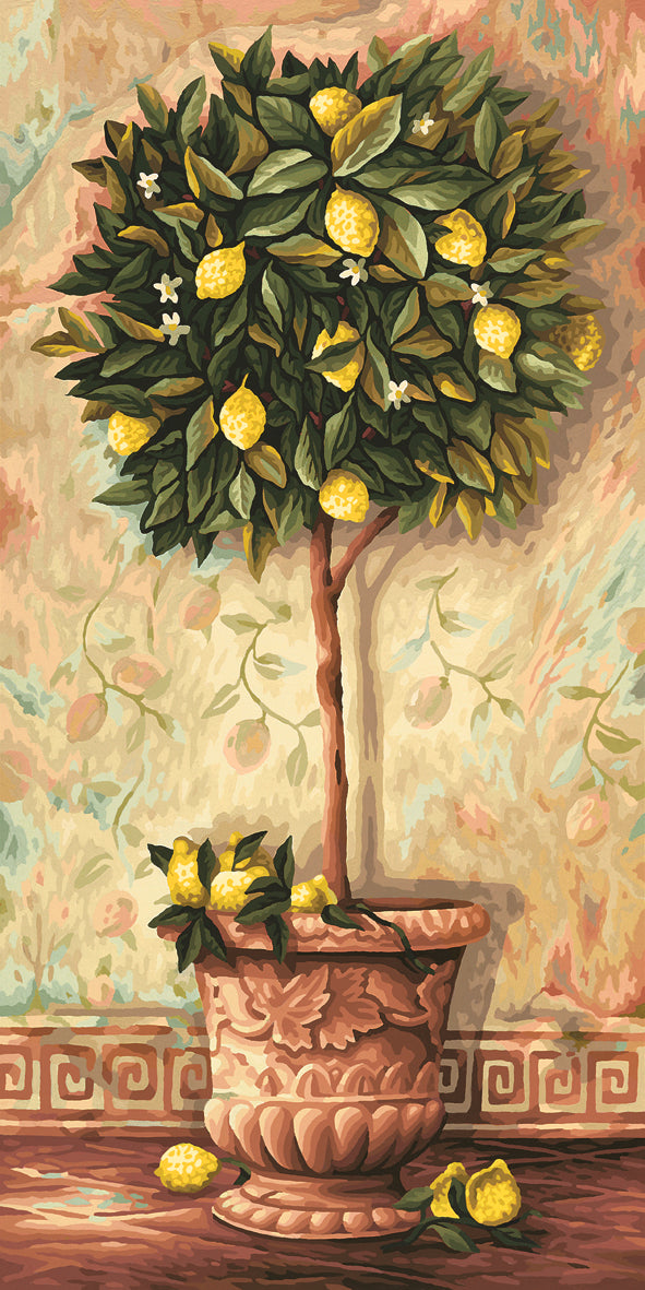 Schipper: Citrus Limonum / Zitronenbäumchen