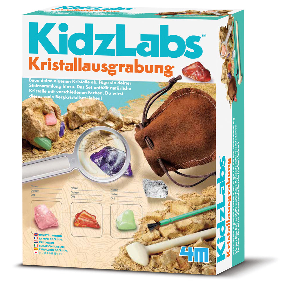Kidz Labs: Kristallausgrabung
