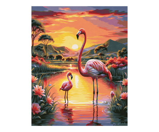 Schipper: Flamingos