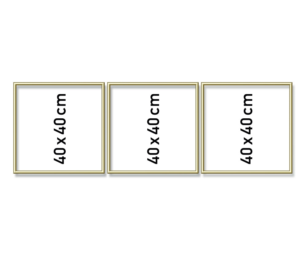 Schipper: Alurahmen Tripty gold 120x40 cm